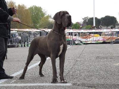 du domaine de Gauvin - Résultats d'Exposition Agen